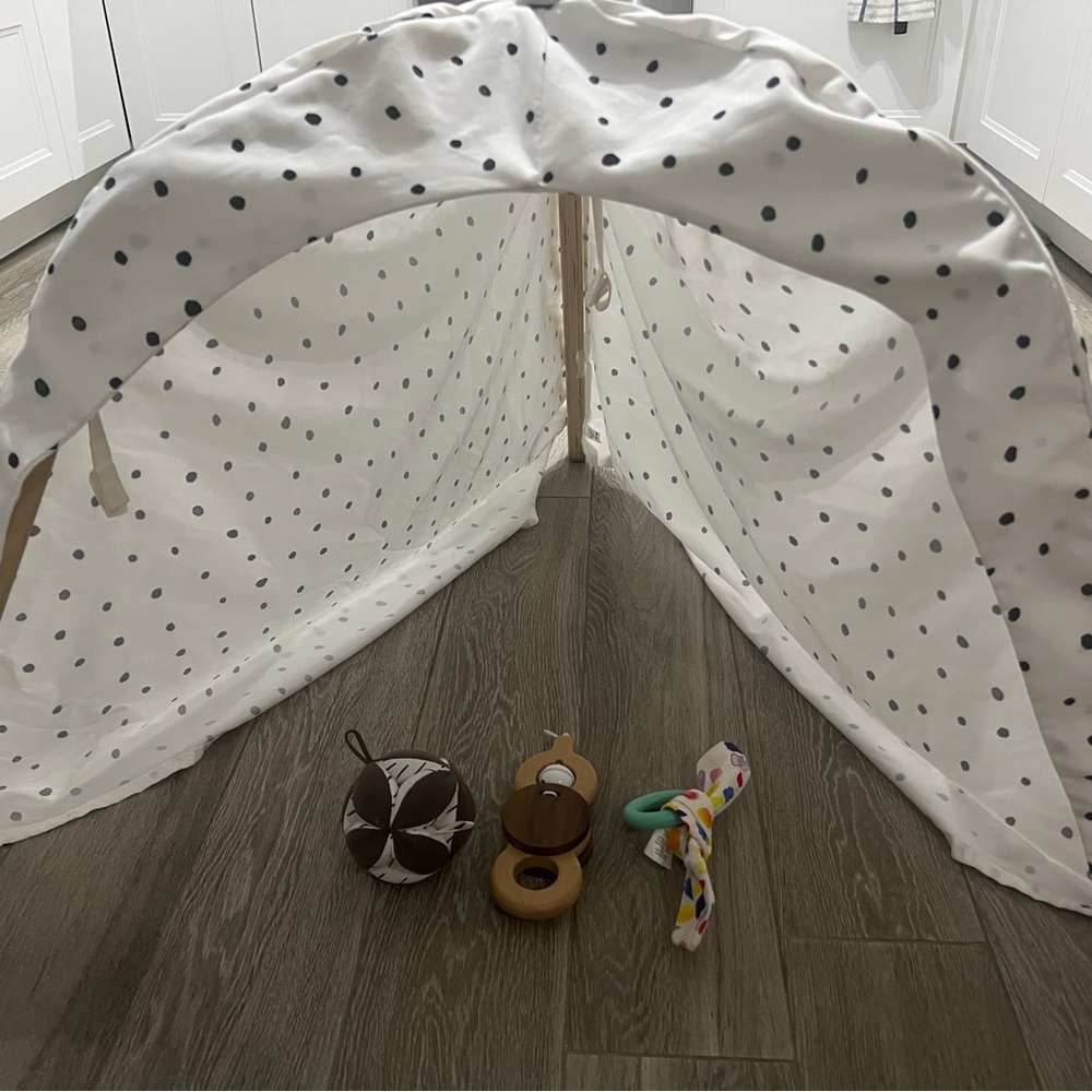 Lovevery Play Gym